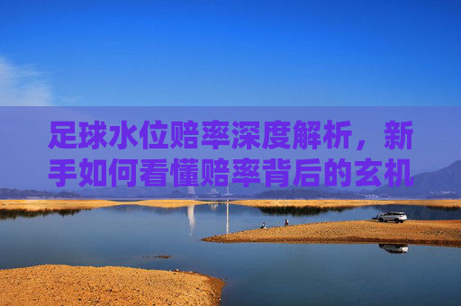 足球水位赔率深度解析，新手如何看懂赔率背后的玄机？新手必看，足球水位赔率背后的玄机解析