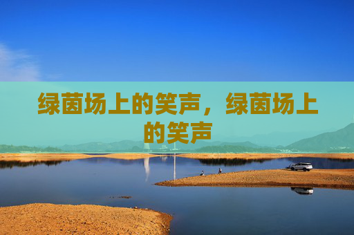绿茵场上的笑声，绿茵场上的笑声