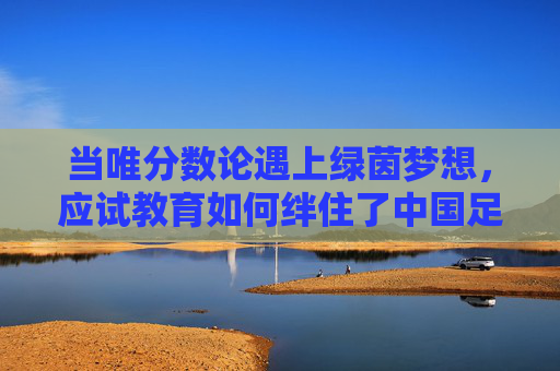当唯分数论遇上绿茵梦想，应试教育如何绊住了中国足球的脚步？唯分数论绊住绿茵梦，应试教育如何困住中国足球？