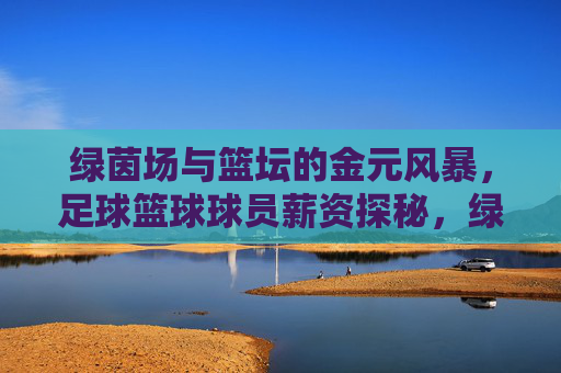 绿茵场与篮坛的金元风暴，足球篮球球员薪资探秘，绿茵篮坛金元风暴，球员薪资探秘