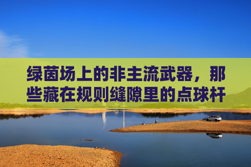 绿茵场上的非主流武器，那些藏在规则缝隙里的点球杆，绿茵场规则缝隙里的非主流武器，点球杆