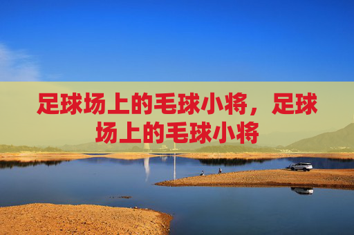 足球场上的毛球小将，足球场上的毛球小将