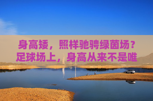 身高矮，照样驰骋绿茵场？足球场上，身高从来不是唯一答案，驰骋绿茵场，身高从来不是唯一答案