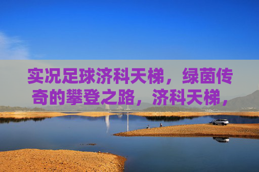 实况足球济科天梯，绿茵传奇的攀登之路，济科天梯，绿茵传奇的攀登之路