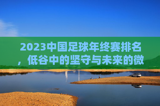 2023中国足球年终赛排名，低谷中的坚守与未来的微光，2023中国足球，低谷坚守与未来微光