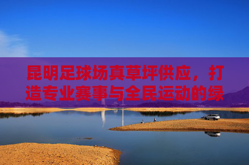 昆明足球场真草坪供应，打造专业赛事与全民运动的绿色基石，昆明足球场真草坪供应，专业赛事与全民运动的绿色基石