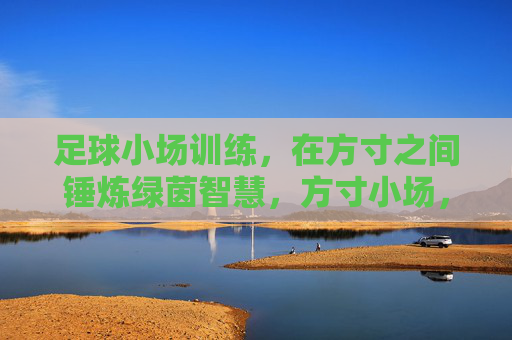 足球小场训练，在方寸之间锤炼绿茵智慧，方寸小场，锤炼绿茵智慧
