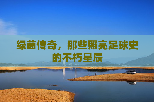 绿茵传奇，那些照亮足球史的不朽星辰