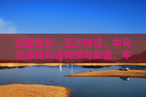 绿茵逐梦，亚洲对话，中乌足球赛见证竞技与友谊，中乌足球赛，绿茵逐梦见证竞技与友谊