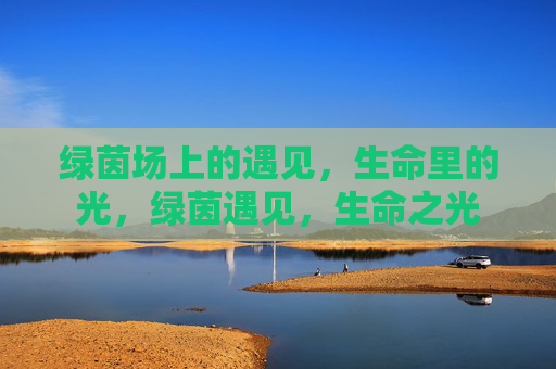 绿茵场上的遇见，生命里的光，绿茵遇见，生命之光