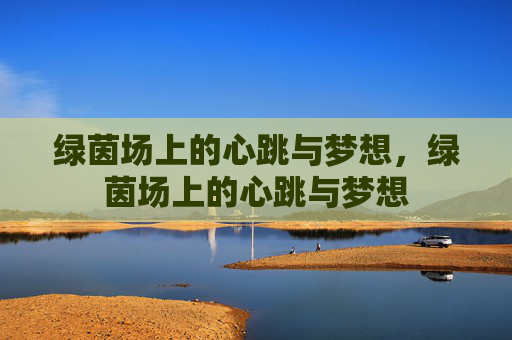 绿茵场上的心跳与梦想，绿茵场上的心跳与梦想
