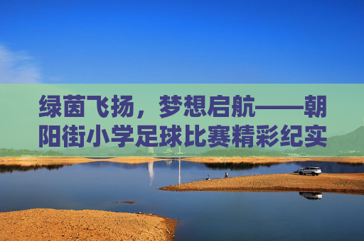 绿茵飞扬，梦想启航——朝阳街小学足球比赛精彩纪实，绿茵飞扬，梦想启航——朝阳街小学足球比赛