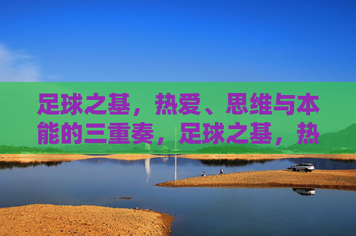 足球之基，热爱、思维与本能的三重奏，足球之基，热爱、思维与本能的三重奏