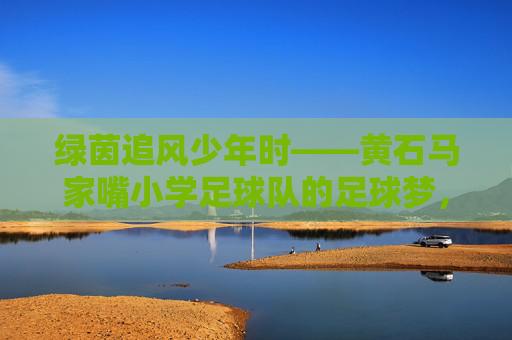 绿茵追风少年时——黄石马家嘴小学足球队的足球梦，绿茵追风少年梦，黄石马家嘴小学足球队的足球征途