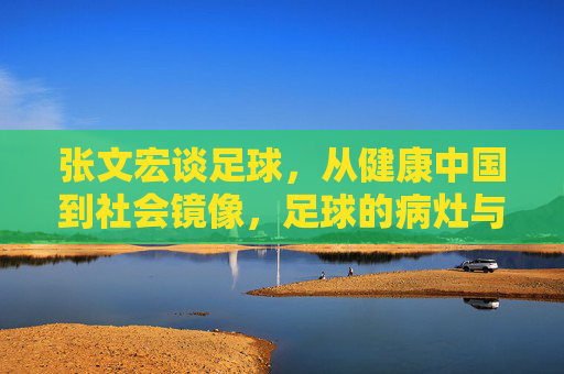 张文宏谈足球，从健康中国到社会镜像，足球的病灶与良方，张文宏谈足球，健康中国与社会镜像下的病灶与良方