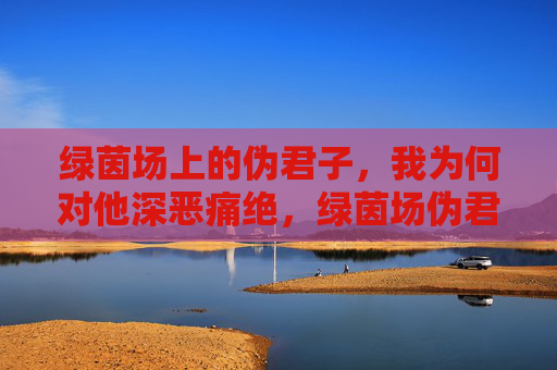 绿茵场上的伪君子，我为何对他深恶痛绝，绿茵场伪君子，我为何深恶痛绝