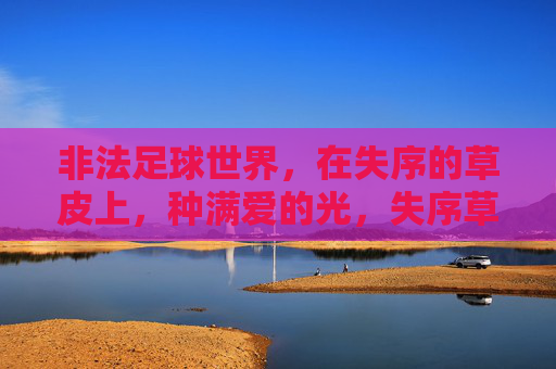 非法足球世界，在失序的草皮上，种满爱的光，失序草皮，足球种爱