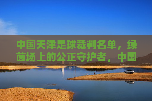 中国天津足球裁判名单，绿茵场上的公正守护者，中国天津足球裁判名单，绿茵场上的公正守护者