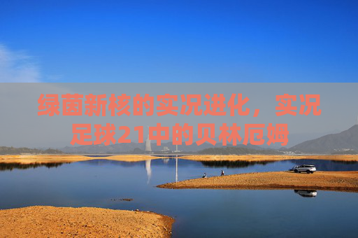 绿茵新核的实况进化，实况足球21中的贝林厄姆