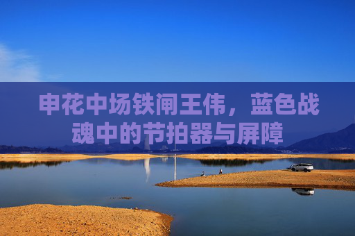 申花中场铁闸王伟，蓝色战魂中的节拍器与屏障