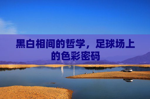 黑白相间的哲学，足球场上的色彩密码