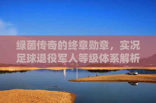 绿茵传奇的终章勋章，实况足球退役军人等级体系解析，绿茵传奇终章勋章，实况足球退役军人等级体系解析