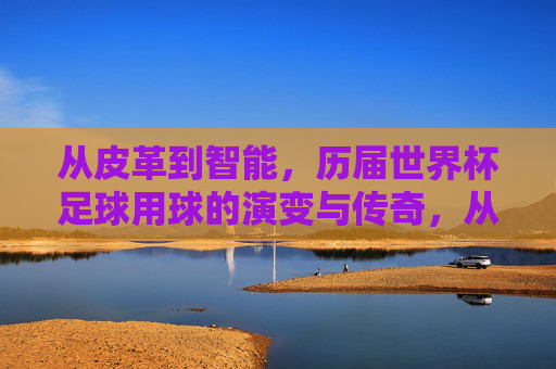 从皮革到智能，历届世界杯足球用球的演变与传奇，从皮革到智能，世界杯足球用球的演变与传奇