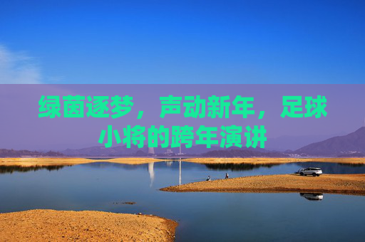 绿茵逐梦，声动新年，足球小将的跨年演讲