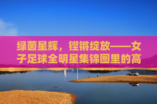 绿茵星辉，铿锵绽放——女子足球全明星集锦图里的高光时刻，女子足球全明星，绿茵星辉下的铿锵高光
