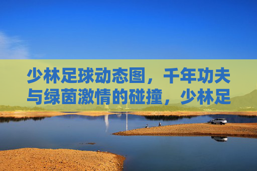 少林足球动态图，千年功夫与绿茵激情的碰撞，少林足球动态图，千年功夫与绿茵激情的碰撞