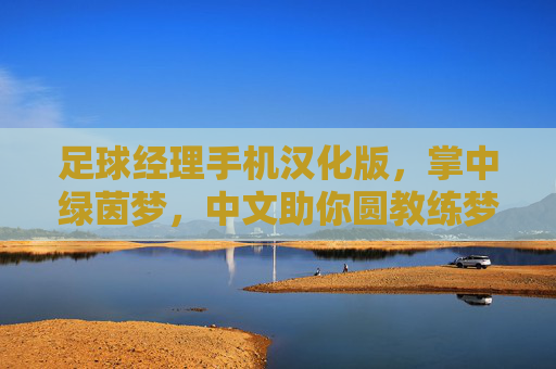 足球经理手机汉化版，掌中绿茵梦，中文助你圆教练梦，足球经理手机汉化版，掌中绿茵，中文圆梦教练