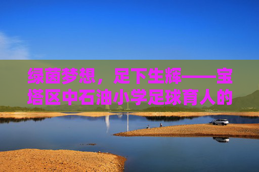 绿茵梦想，足下生辉——宝塔区中石油小学足球育人的实践与成长