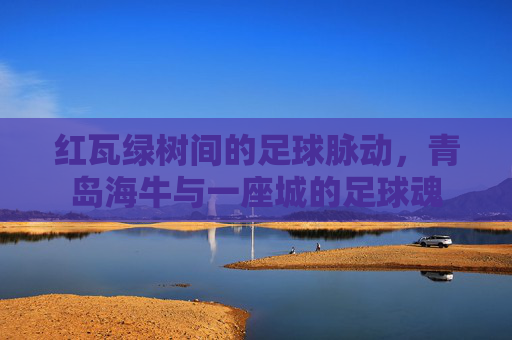 红瓦绿树间的足球脉动，青岛海牛与一座城的足球魂