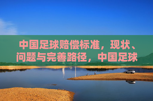 中国足球赔偿标准，现状、问题与完善路径，中国足球赔偿标准的现状、问题与完善路径