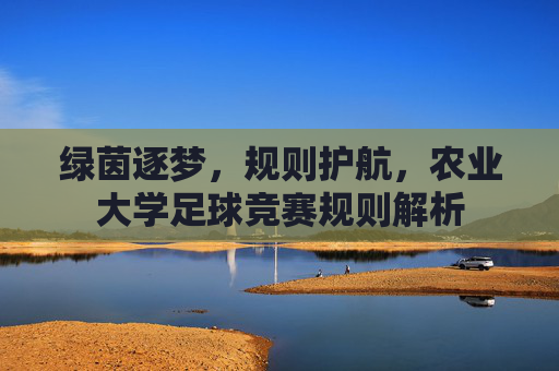 绿茵逐梦，规则护航，农业大学足球竞赛规则解析