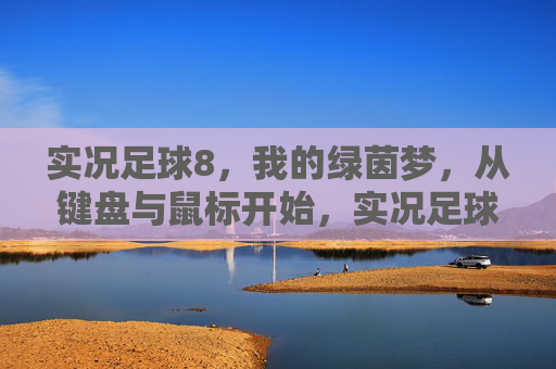 实况足球8，我的绿茵梦，从键盘与鼠标开始，实况足球8，从键盘鼠标开始的绿茵梦