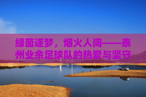 绿茵逐梦，烟火人间——泰州业余足球队的热爱与坚守