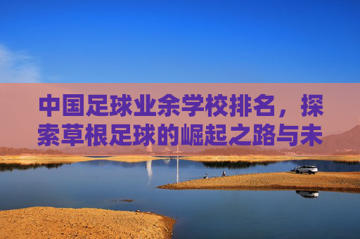 中国足球业余学校排名，探索草根足球的崛起之路与未来展望，中国足球业余学校排名，草根足球崛起之路与未来展望