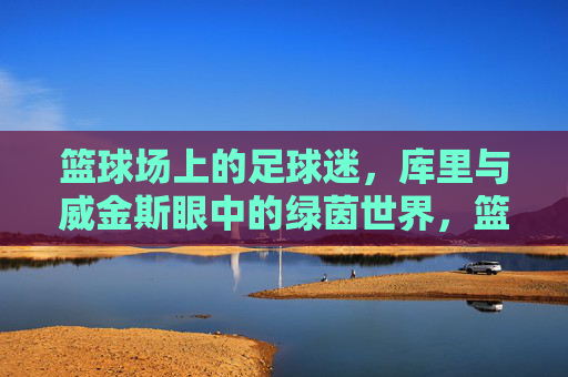 篮球场上的足球迷，库里与威金斯眼中的绿茵世界，篮球巨星库里与威金斯，绿茵世界的足球迷视角