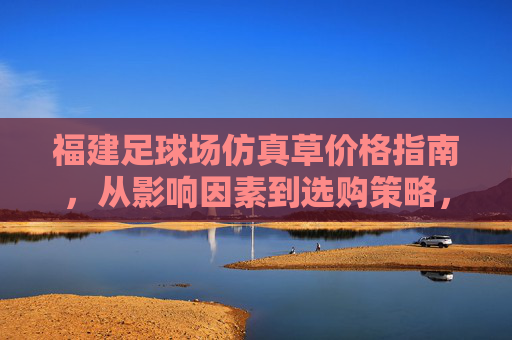 福建足球场仿真草价格指南，从影响因素到选购策略，一文读懂成本构成，福建足球场仿真草价格指南，从影响因素到选购策略，一文读懂成本构成
