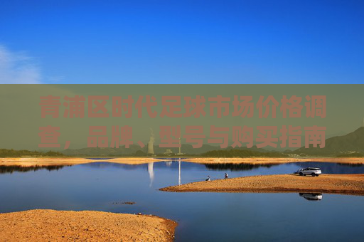 青浦区时代足球市场价格调查，品牌、型号与购买指南，青浦区时代足球市场价格调查，品牌、型号与购买指南
