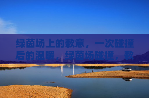 绿茵场上的歉意，一次碰撞后的温暖，绿茵场碰撞，歉意与温暖