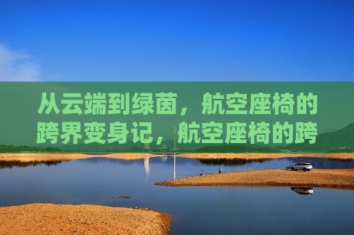 从云端到绿茵，航空座椅的跨界变身记，航空座椅的跨界变身，从云端到绿茵