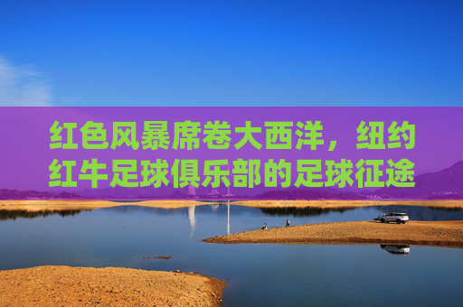红色风暴席卷大西洋，纽约红牛足球俱乐部的足球征途，红色风暴，纽约红牛的足球征途