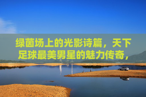 绿茵场上的光影诗篇，天下足球最美男星的魅力传奇，绿茵光影，足球美男的传奇诗篇
