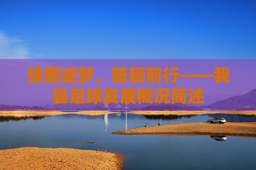 绿茵逐梦，砥砺前行——我县足球发展概况简述