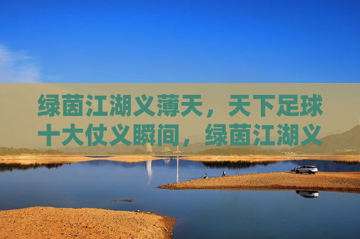 绿茵江湖义薄天，天下足球十大仗义瞬间，绿茵江湖义薄天，天下足球十大仗义瞬间