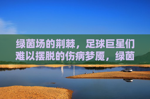 绿茵场的荆棘，足球巨星们难以摆脱的伤病梦魇，绿茵荆棘，巨星伤病梦魇