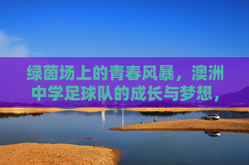 绿茵场上的青春风暴，澳洲中学足球队的成长与梦想，绿茵青春风暴，澳洲中学足球队的成长与梦想