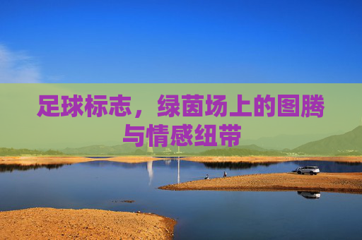 足球标志，绿茵场上的图腾与情感纽带